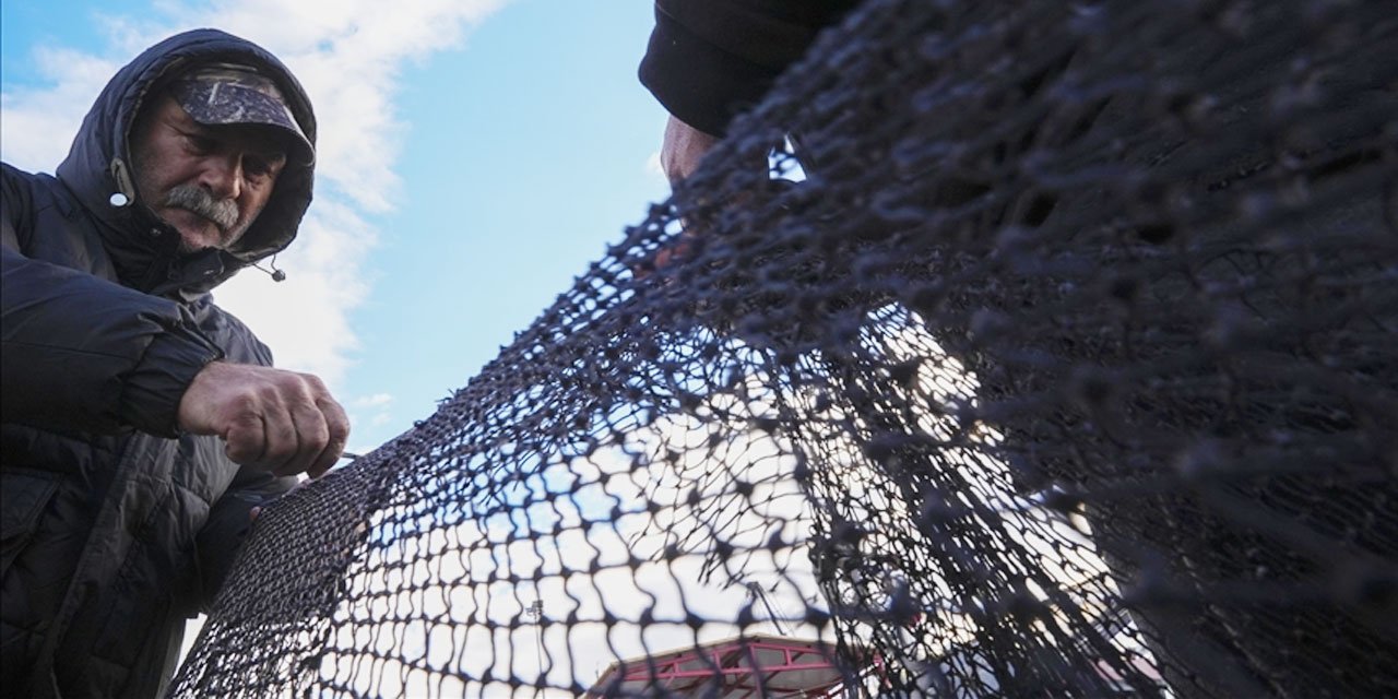 Yarısı tamamlanan av sezonunda hamsi ve sardalya yüz güldürdü