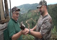  Sabunlu Sudan Gökyüzüne: Karadeniz'in Kadim Atmacacılık Geleneği